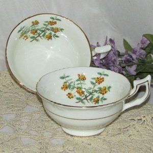 2 Antique Royal Cauldon Barberry Teacups Bone China Cottagecore Vintage